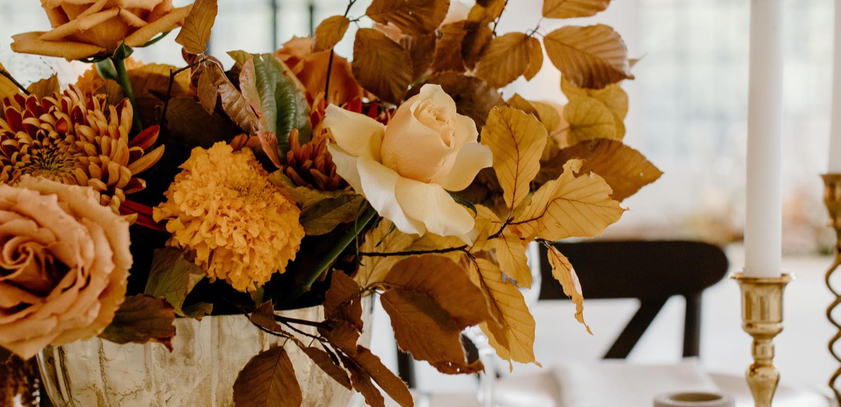 flores resitentes al clima de valencia