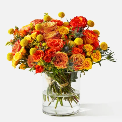 Sol de Capvespre - Triple