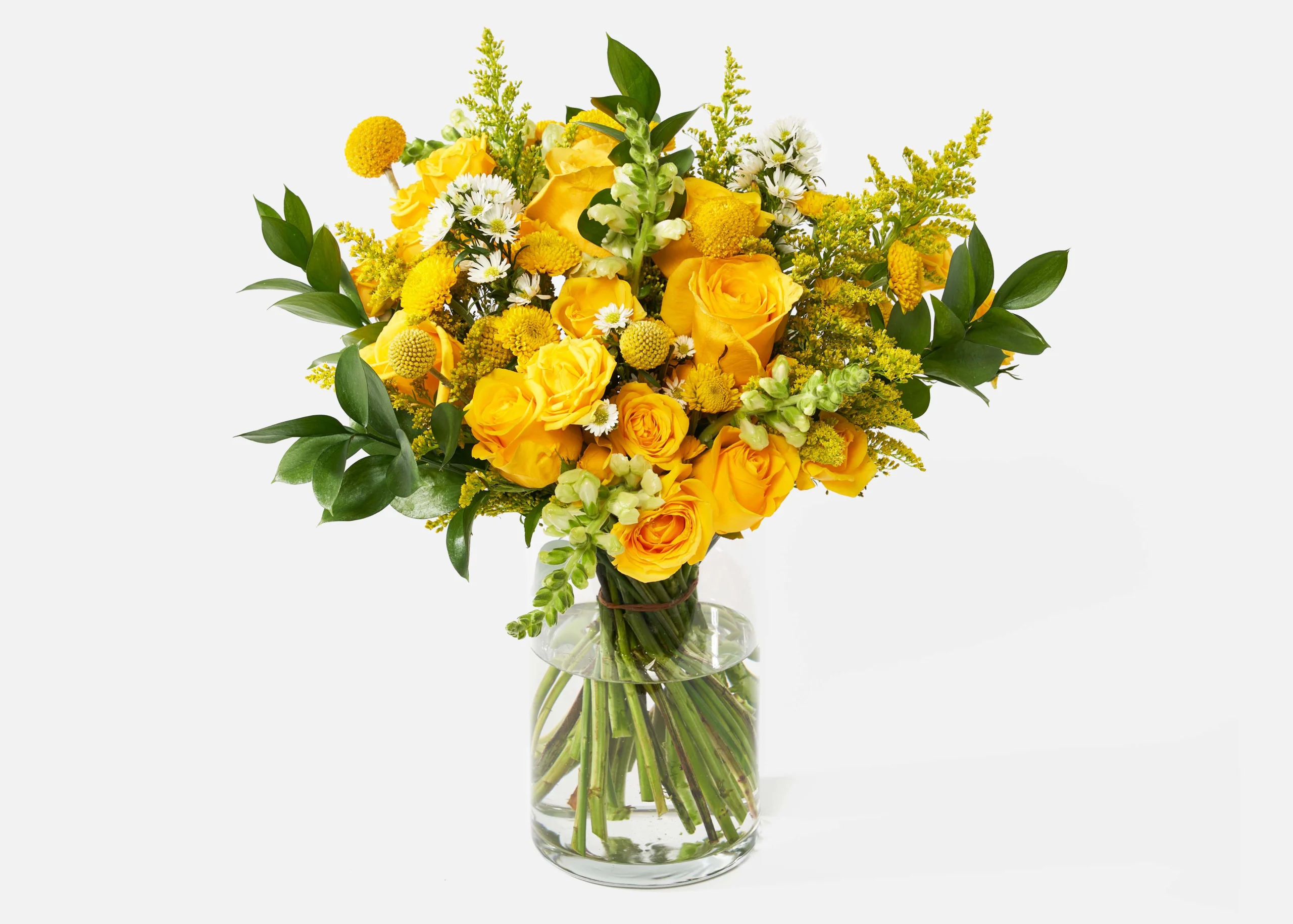 Sol de Migdia - Doble