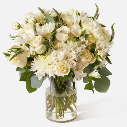 Llum Sideral - Doble