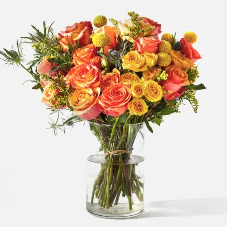 Sol de Capvespre - Doble