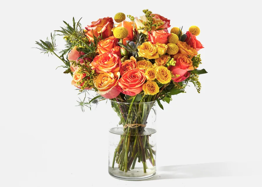 Sol de Capvespre - Doble