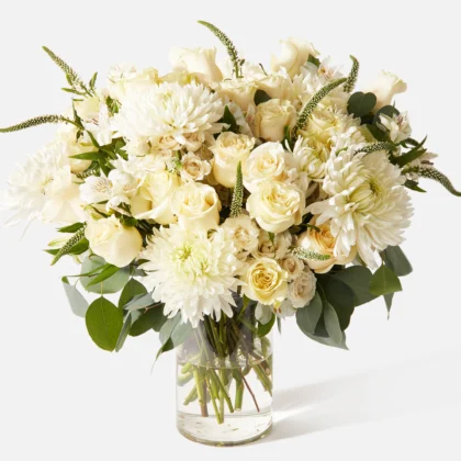 Llum Sideral - Triple