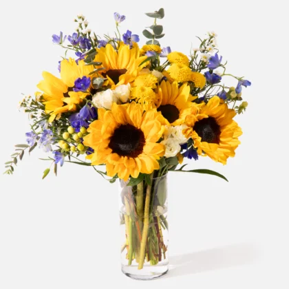 Brisa d'Estiu - Simple