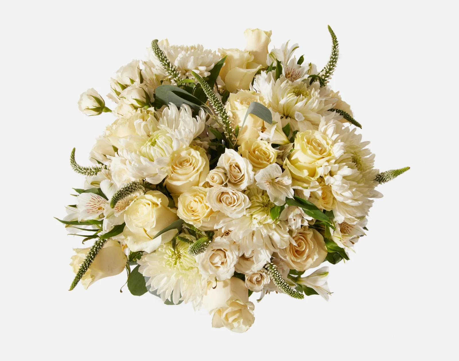 Llum Sideral - Simple - Imagen 2