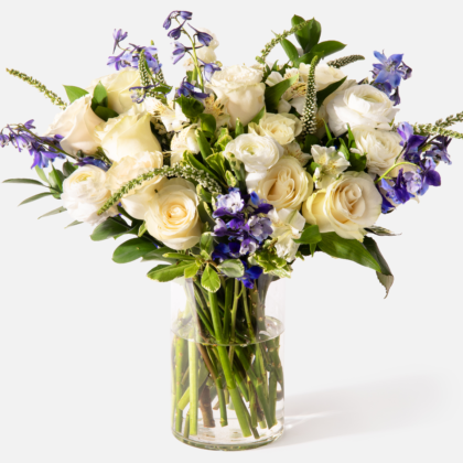 Jardí de Somnis - Doble