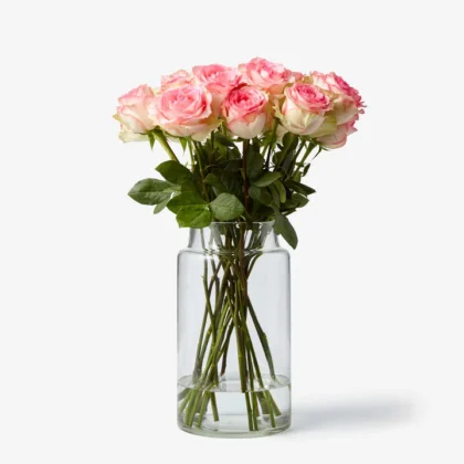 Rosa Princesa del Bosc